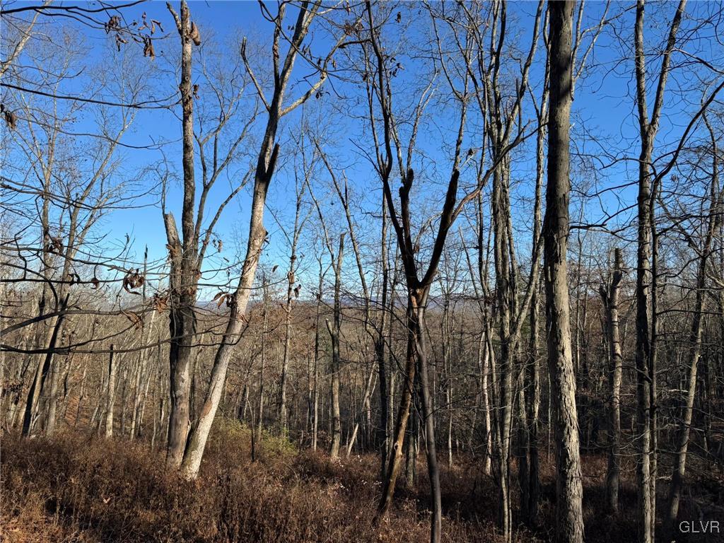 Eagles (bush) Court Property Photo 8