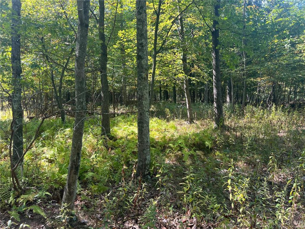 Werkheiser Lane Property Photo 1