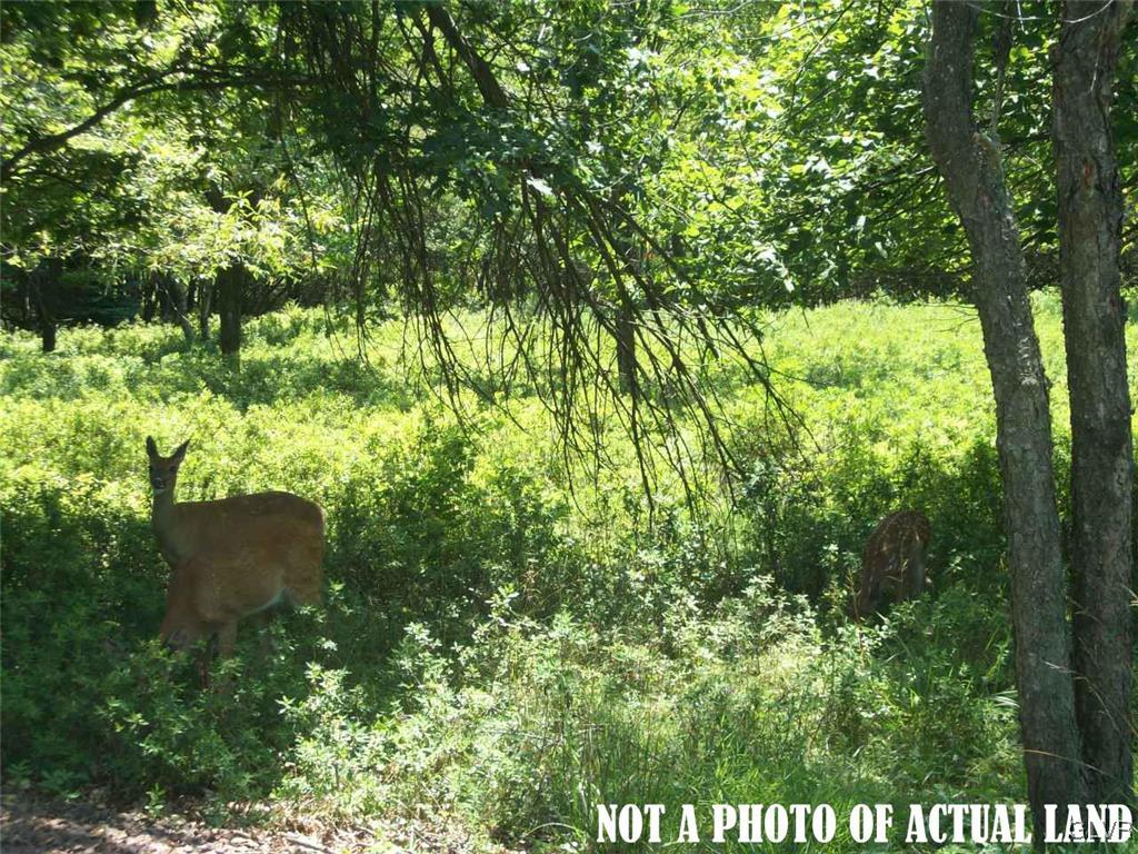2178 Old Stage Road Property Photo 1