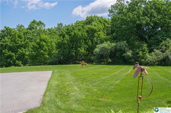 2650 Eagle Lane Property Photo 90
