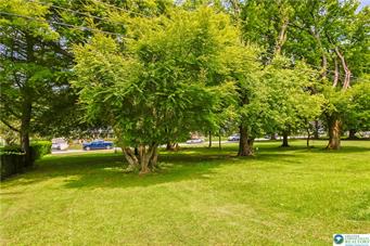 1373 Puggy Lane Property Photo 28