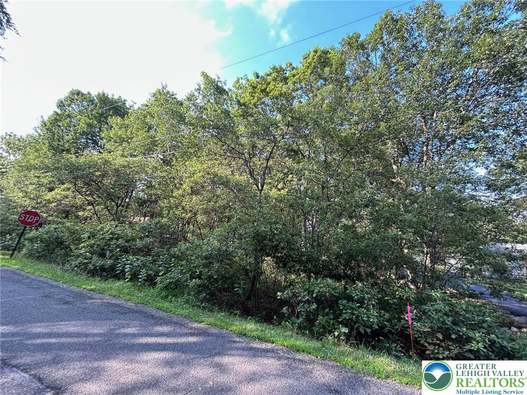 Lot F534 Pinoak Drive Property Photo 1