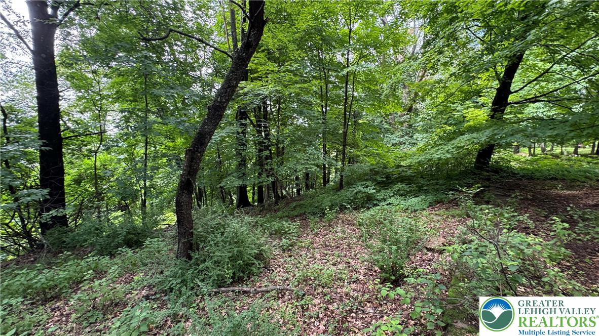 305 Shawnee Avenue Property Photo 3