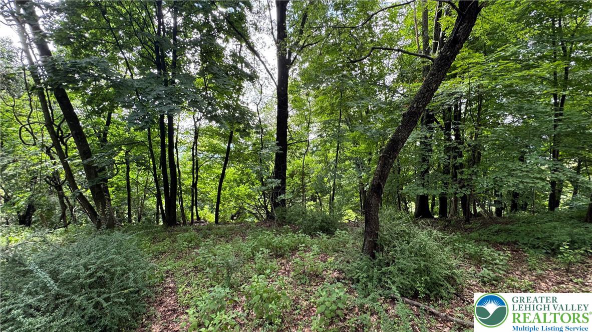 305 Shawnee Avenue Property Photo 4