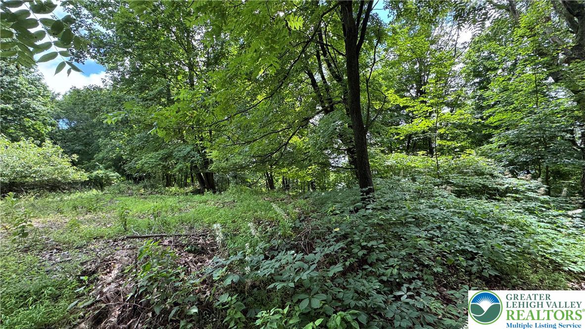 305 Shawnee Avenue Property Photo 6