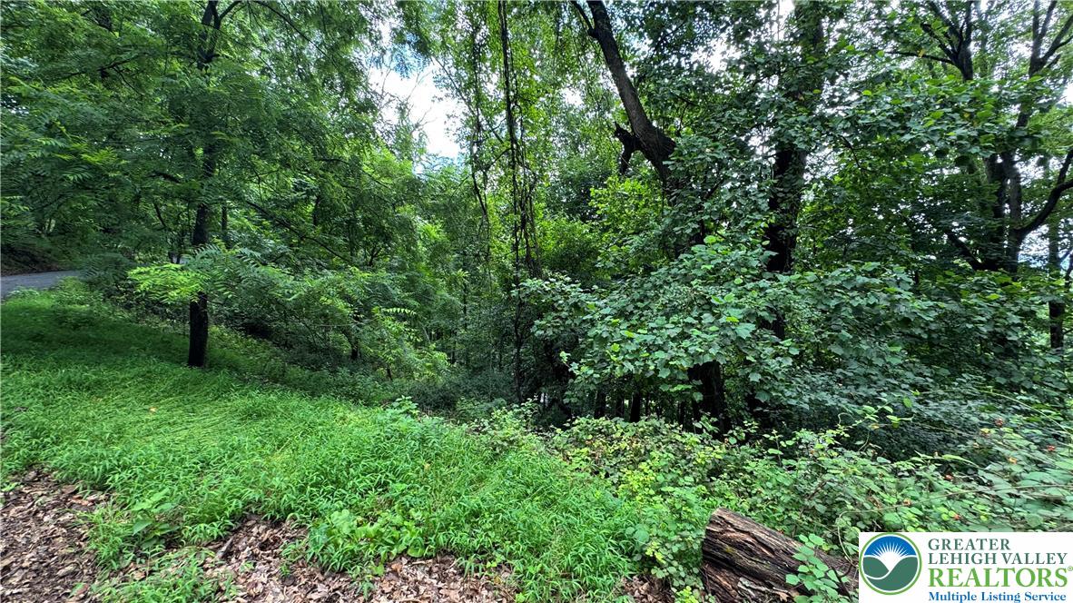305 Shawnee Avenue Property Photo 8