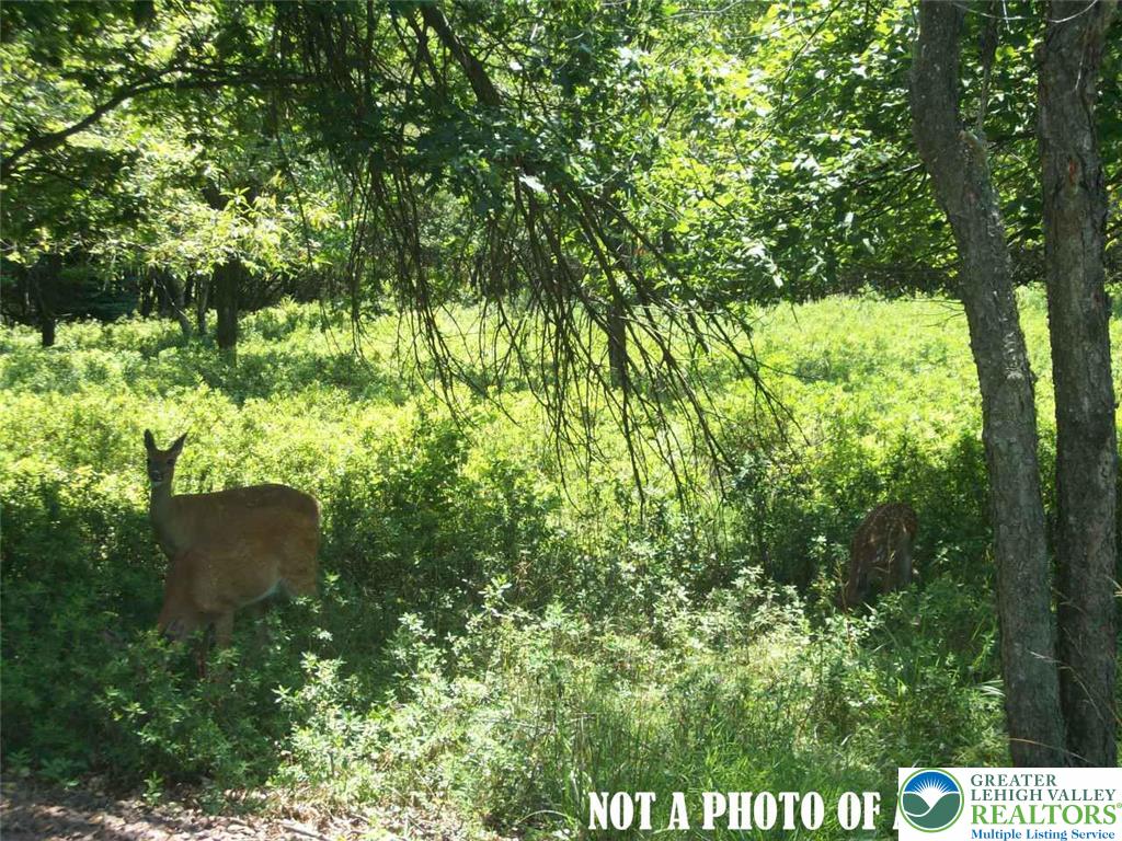 1561 Towamensing Trail Property Photo 1