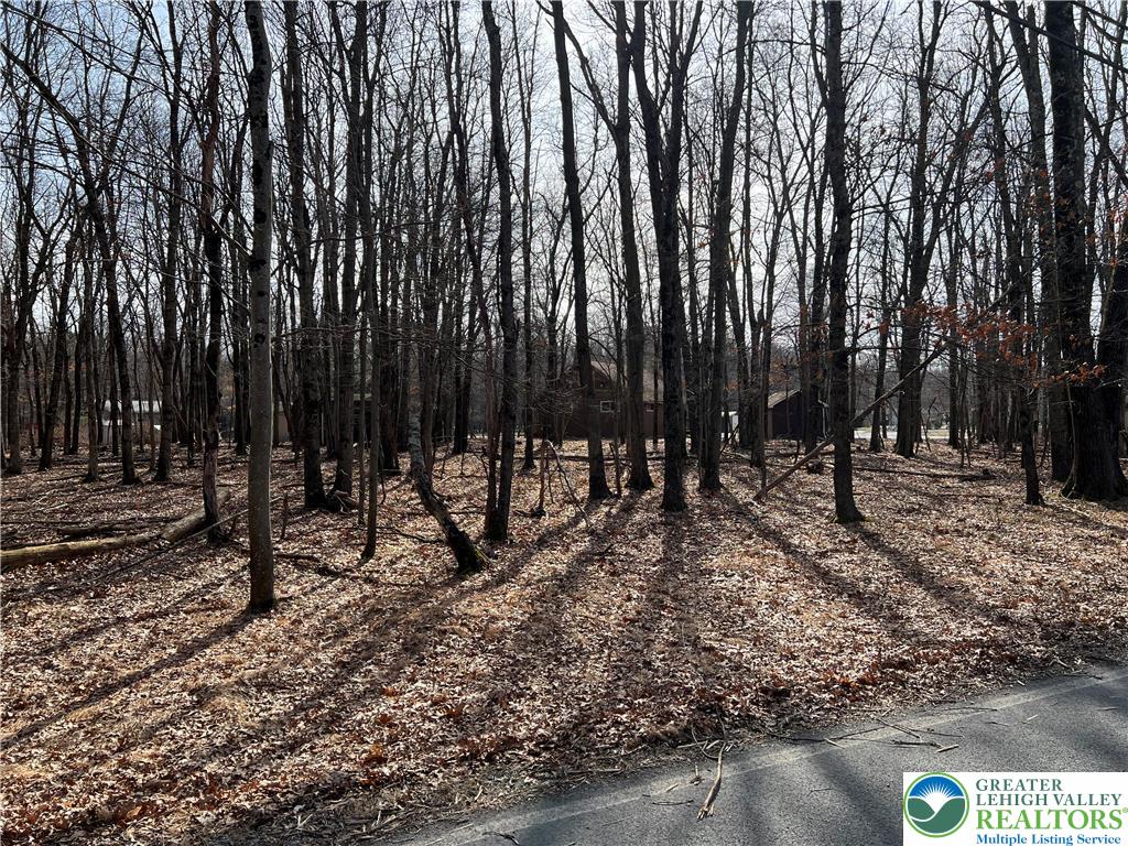 503 Woodland Road Property Photo 1