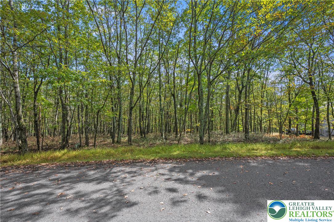 0 Stone Ridge Road Property Photo 1