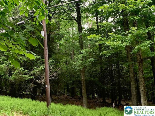 75 Fawnwood Property Photo 2
