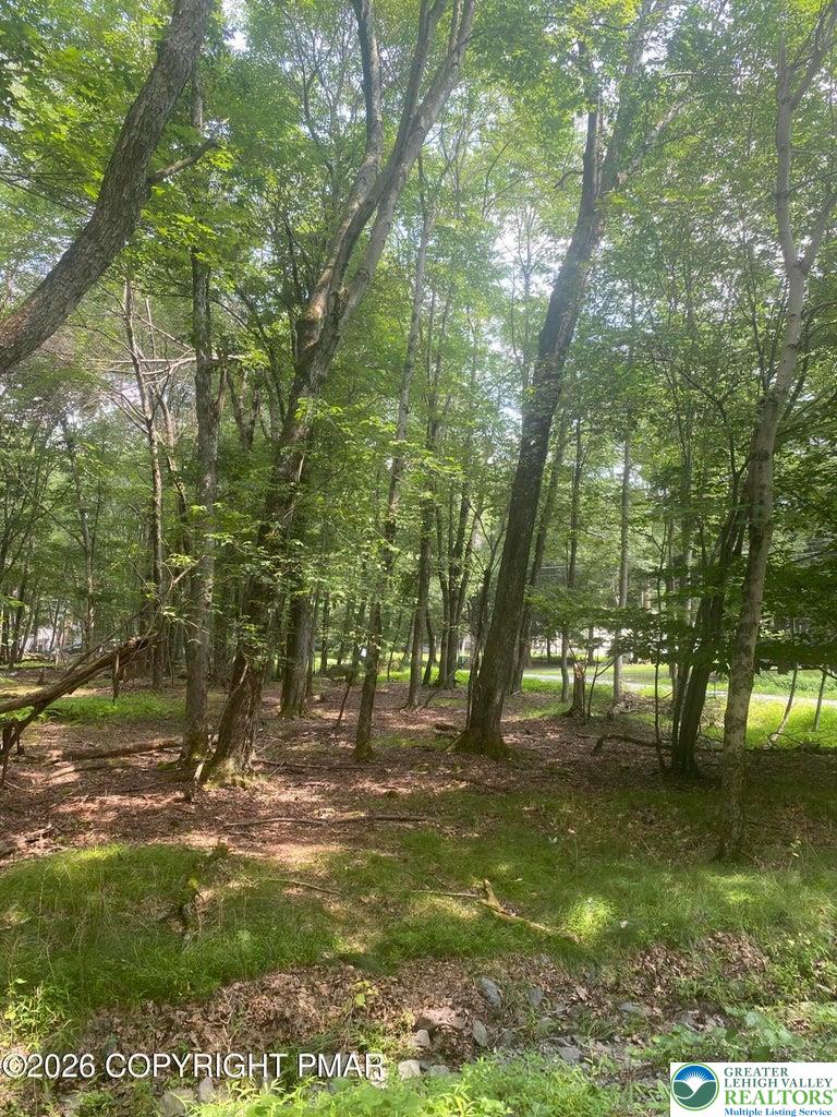 407 Pine Tree Road Property Photo 2