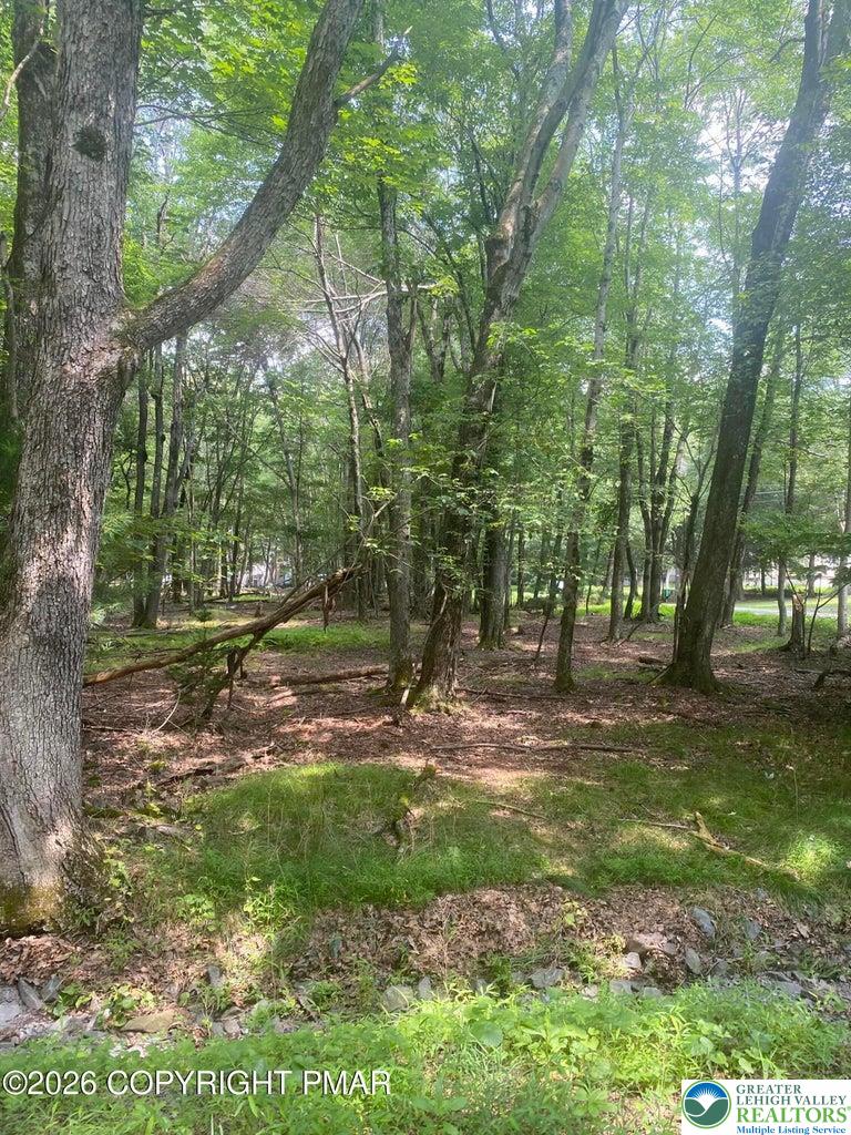 407 Pine Tree Road Property Photo 3
