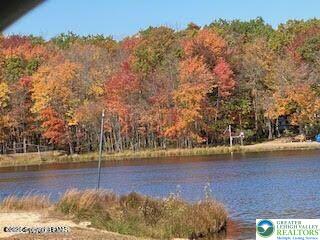 407 Pine Tree Road Property Photo 6
