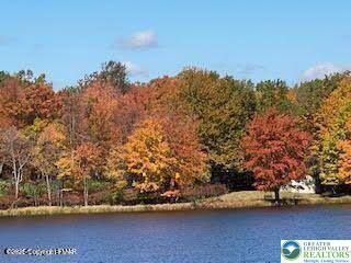 407 Pine Tree Road Property Photo 7