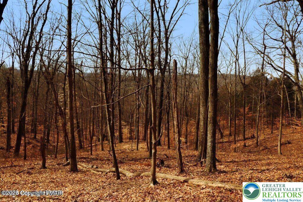 407 Pine Tree Road Property Photo 15