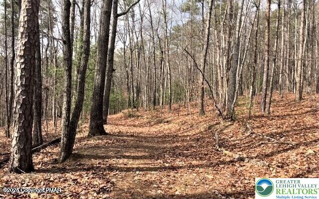 406 Deerfoot Lane Property Photo 12