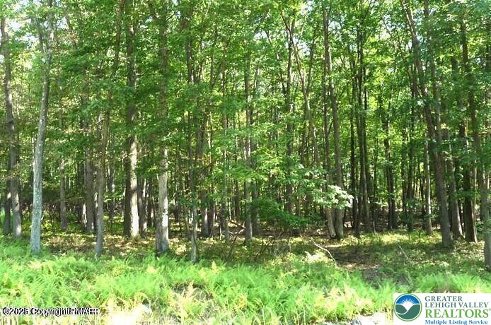 407 Sassafras Road Property Photo 1