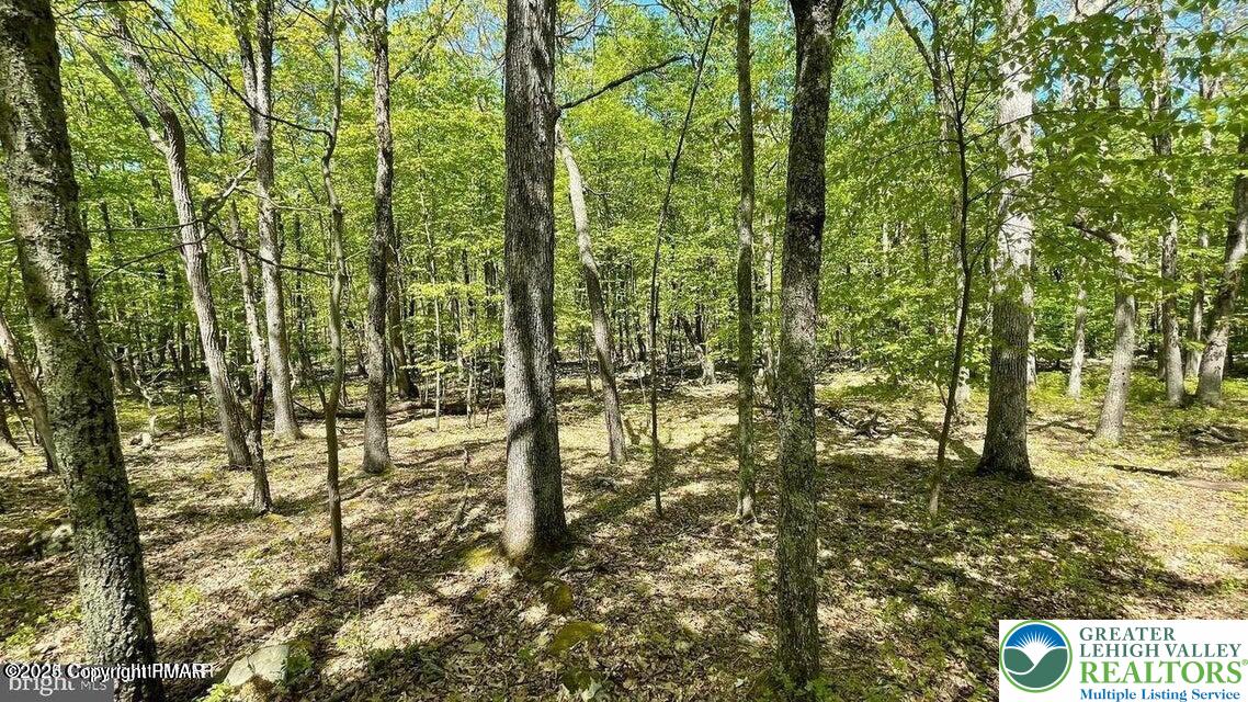 Spring Court Property Photo 4