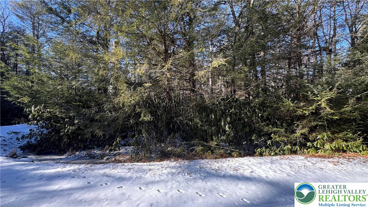 0 Driftwood Drive Property Photo 3