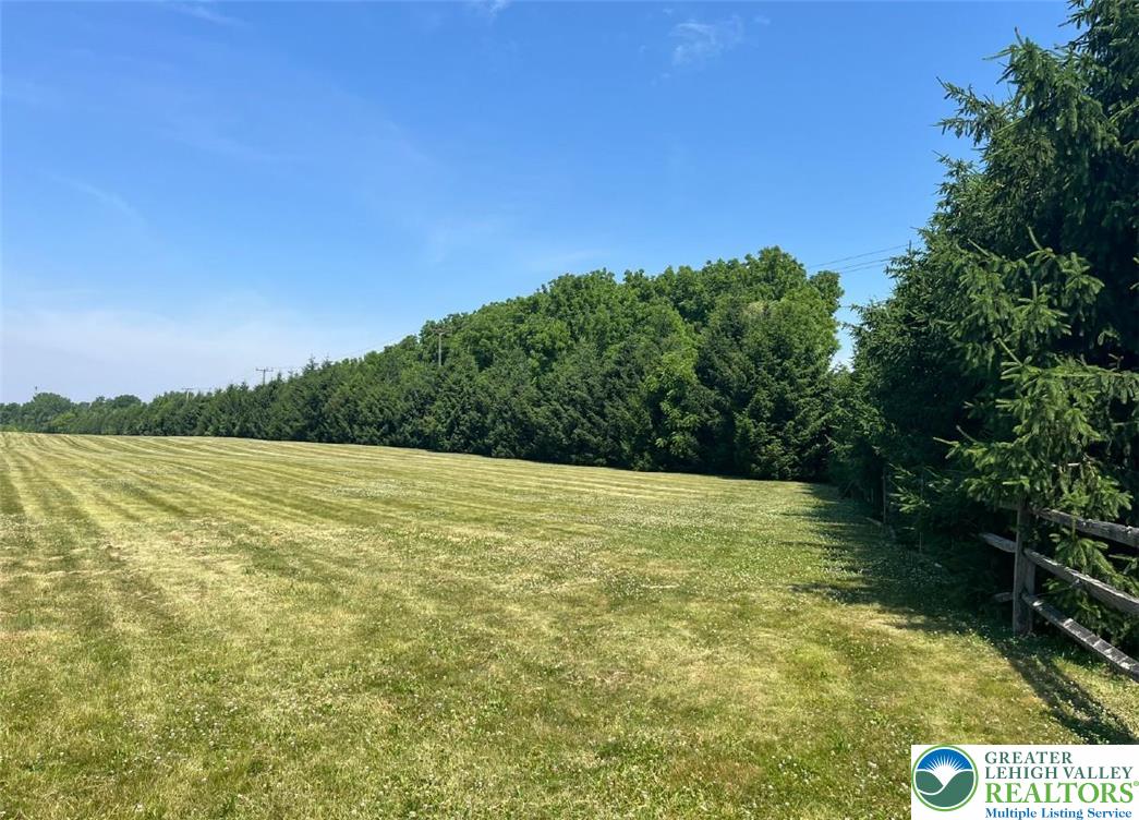 599 Daniels Road Property Photo 4