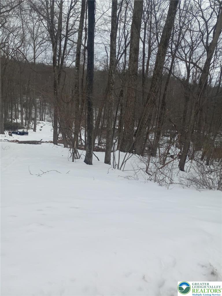 88 Bear Cub Path Trail Property Photo 1