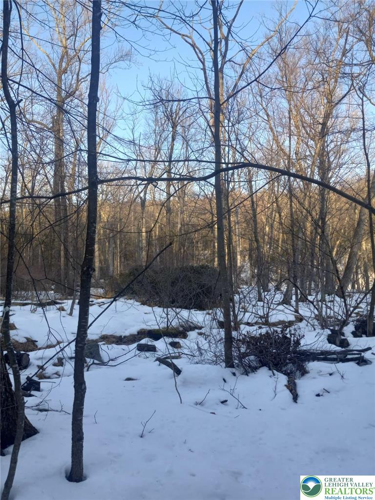 88 Bear Cub Path Trail Property Photo 2