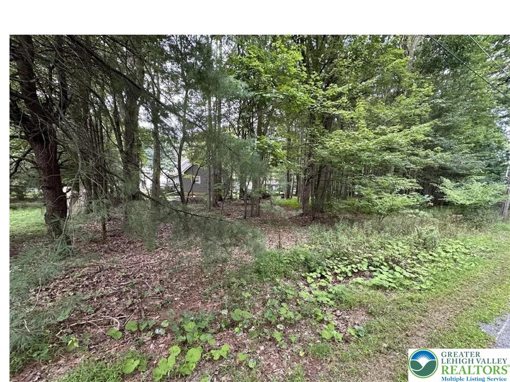 1151 Lexington Avenue 38 Property Photo 1