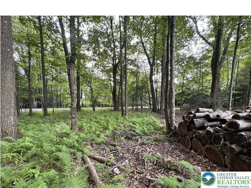 1151 Lexington Avenue 38 Property Photo 2