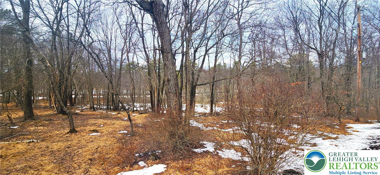 Brook Run Lane 124 Property Photo 4