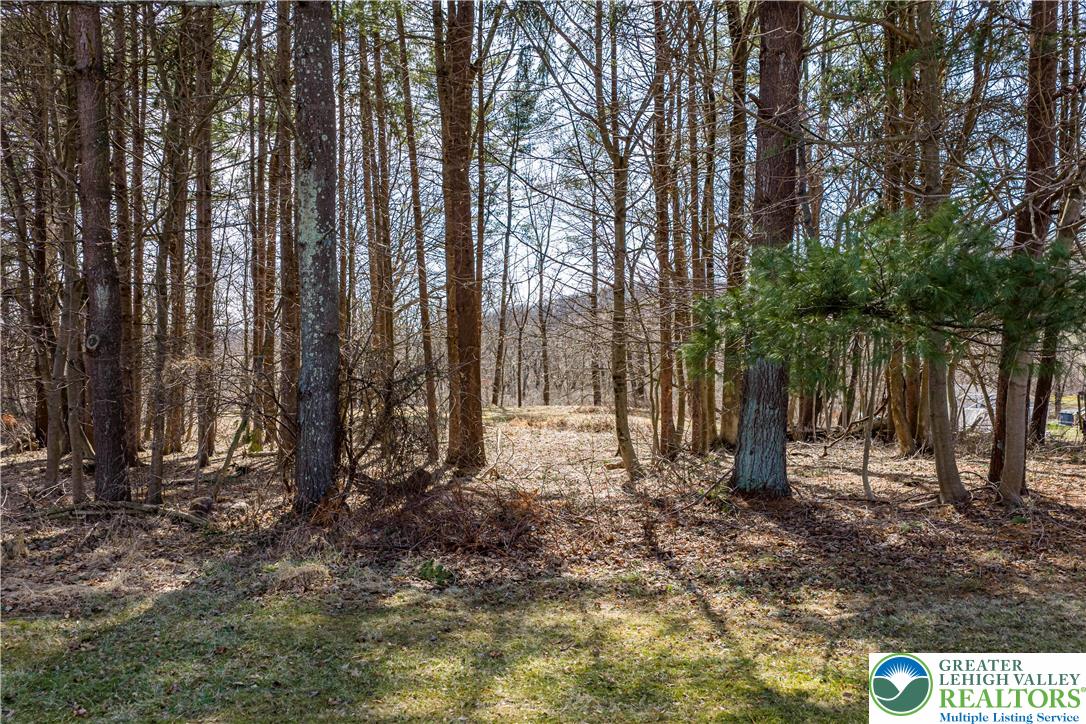 3258 Main Street Property Photo 69