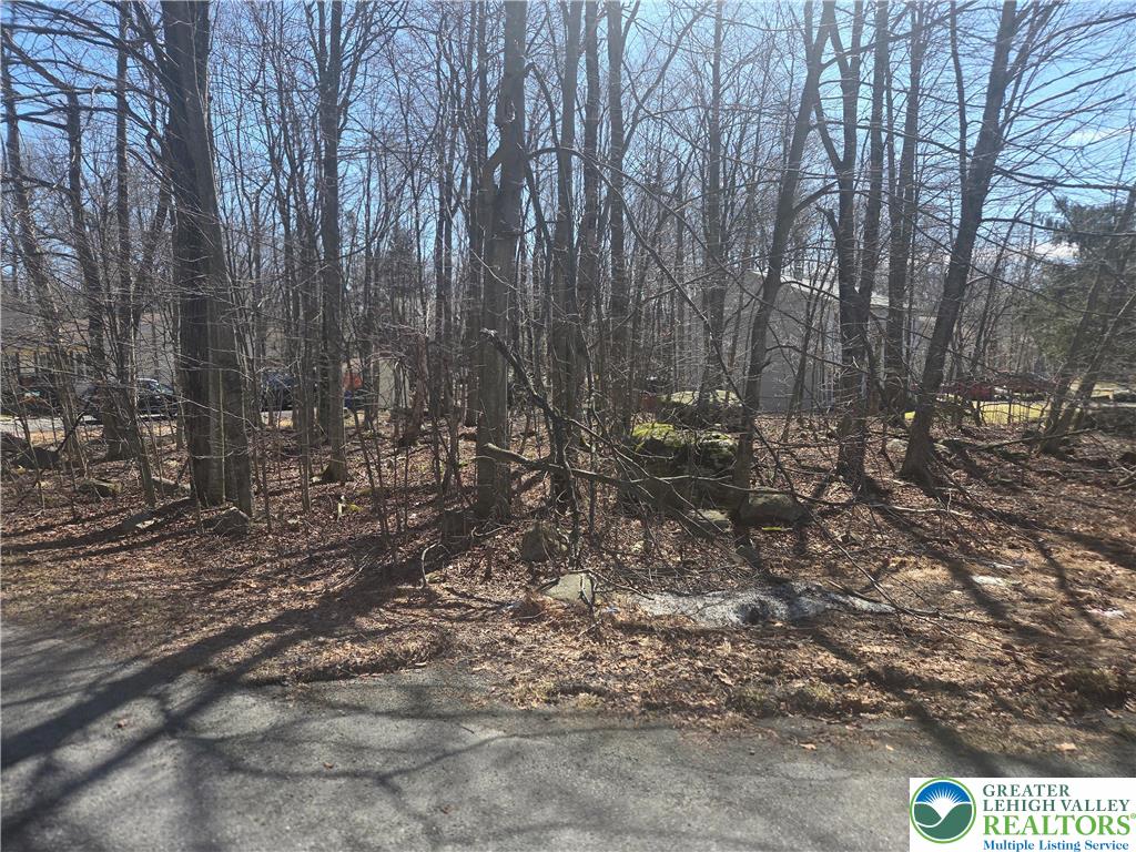 Chipmunk Drive Property Photo 1