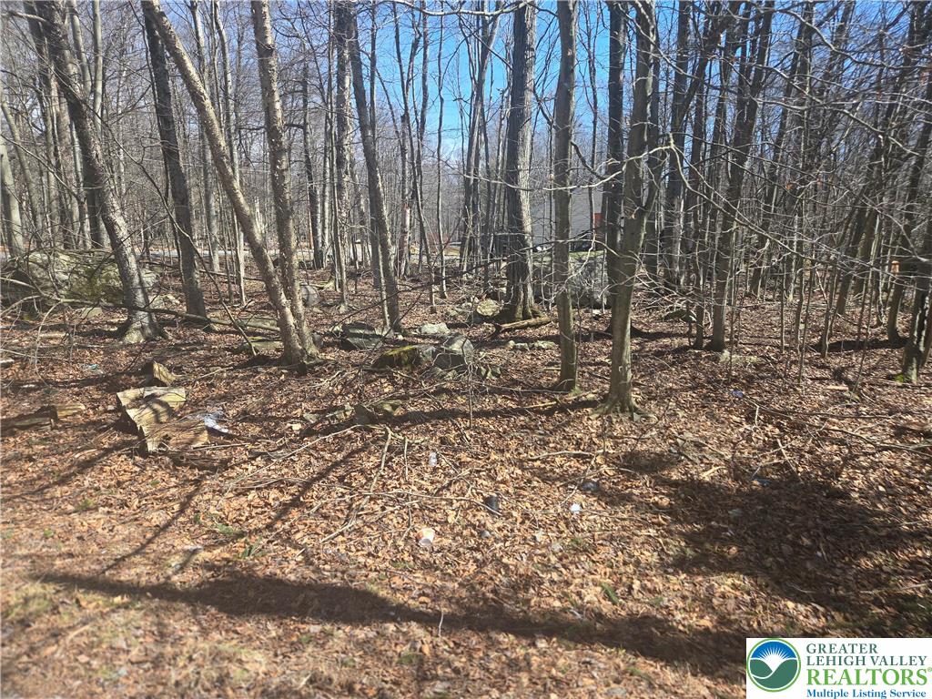 Chipmunk Drive Property Photo 3