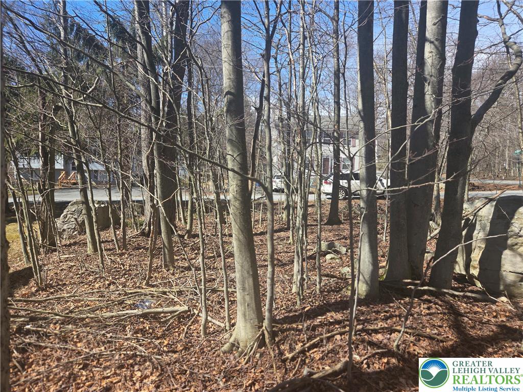 Chipmunk Drive Property Photo 4