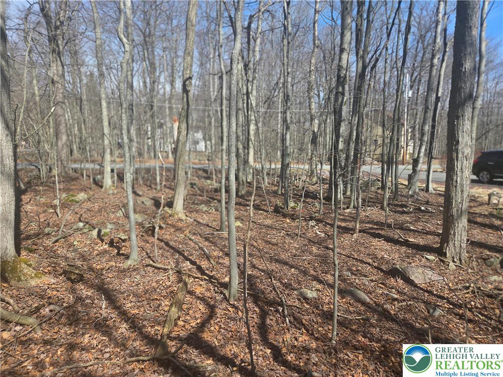 Chipmunk Drive Property Photo 5