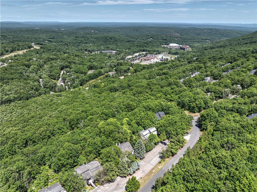 298 Overlook Way Property Photo 51