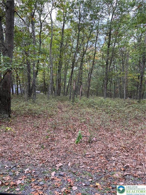 275 Forest Drive Property Photo 1