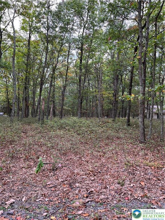 275 Forest Drive Property Photo 3