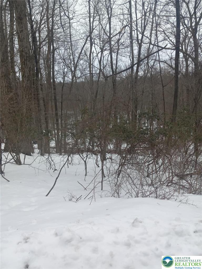 81 Bear Cub Path Property Photo 1