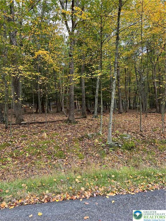 289 Forest Drive Property Photo 1