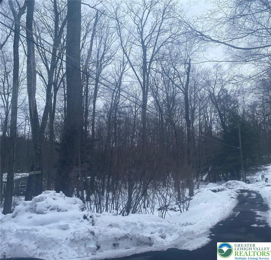 134 Pine Cone Trail Property Photo 1