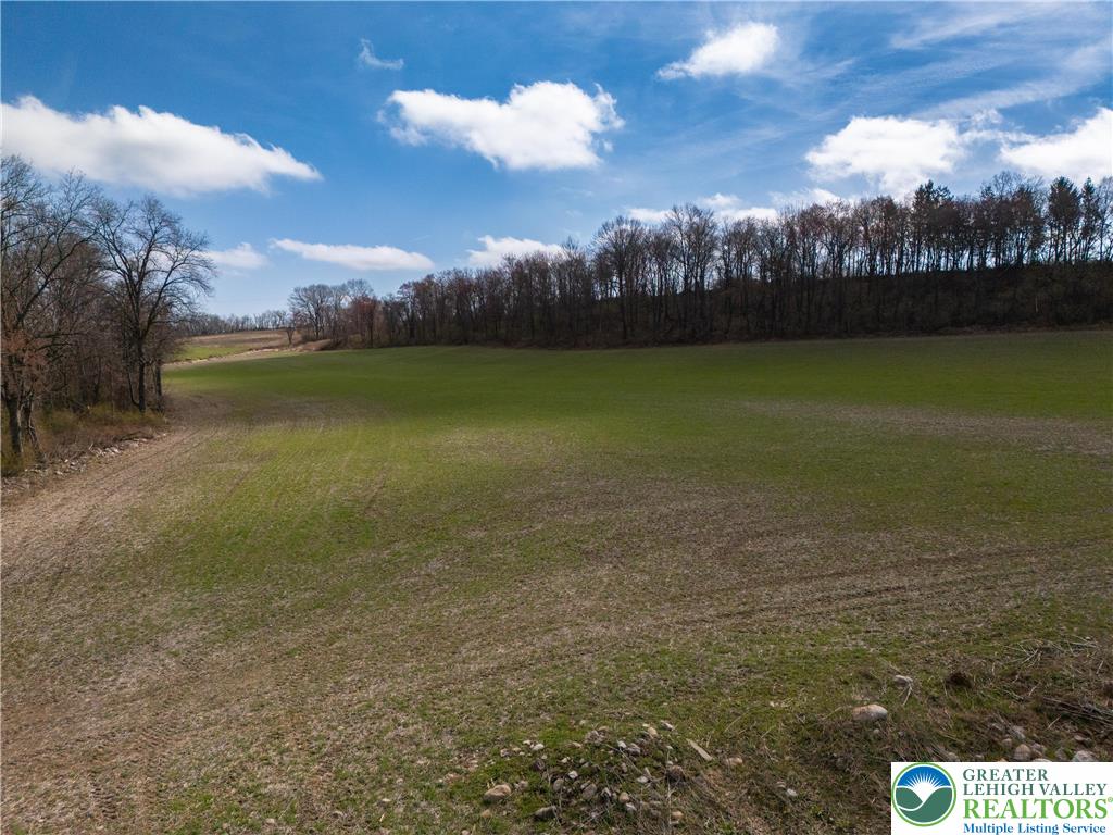 151 Sunrise Boulevard Property Photo 4
