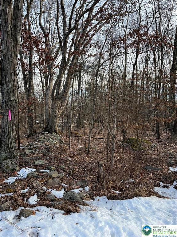 2636 Woodruff Lane Property Photo 4