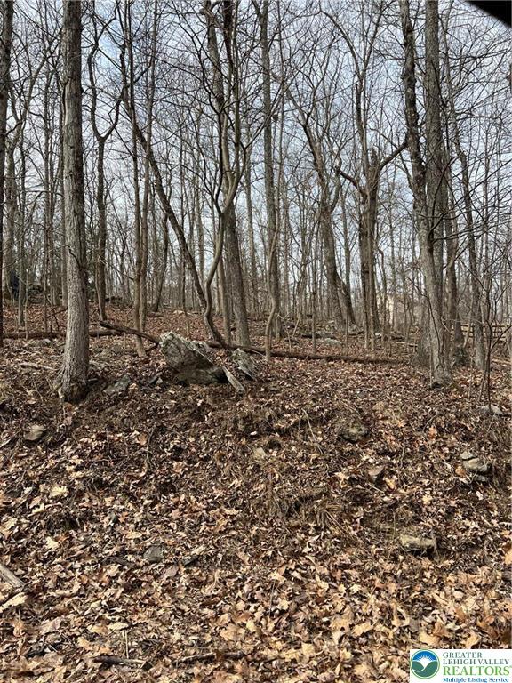 537 Maxatawny Drive Property Photo 1