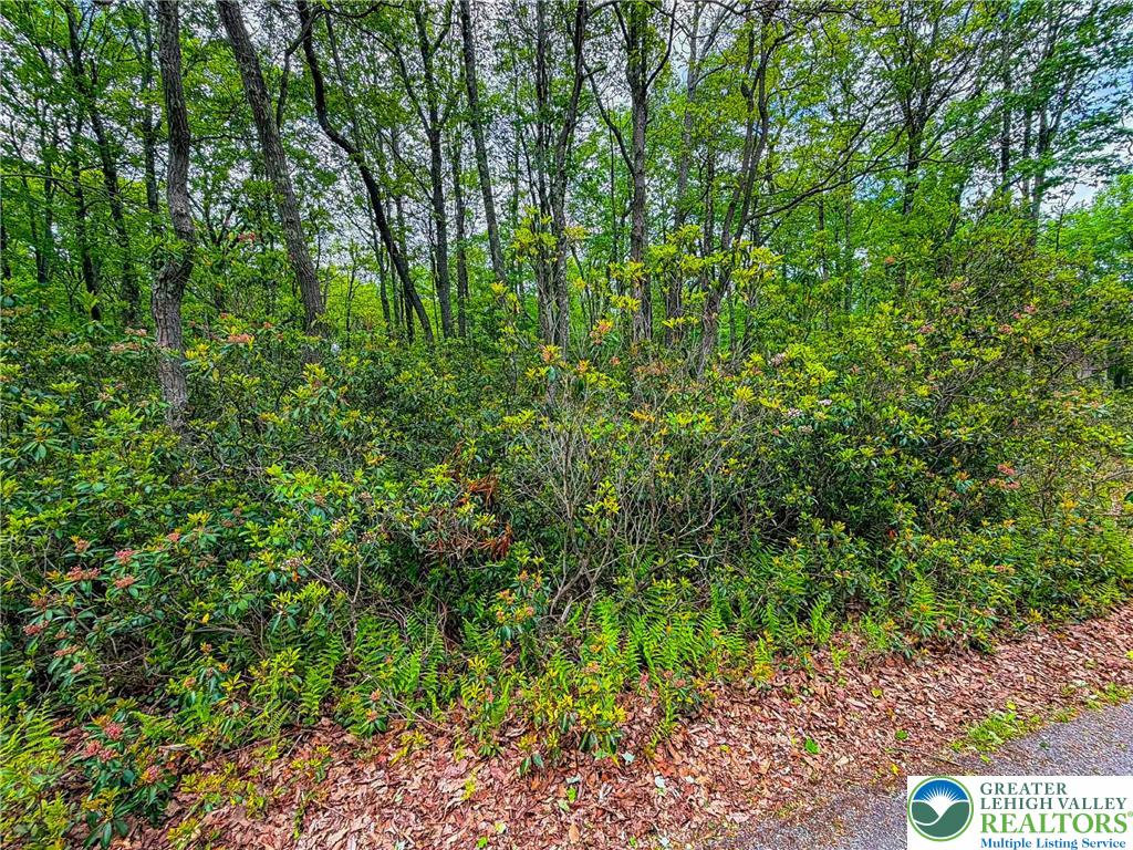 203 Susquehanna Drive B Property Photo 3