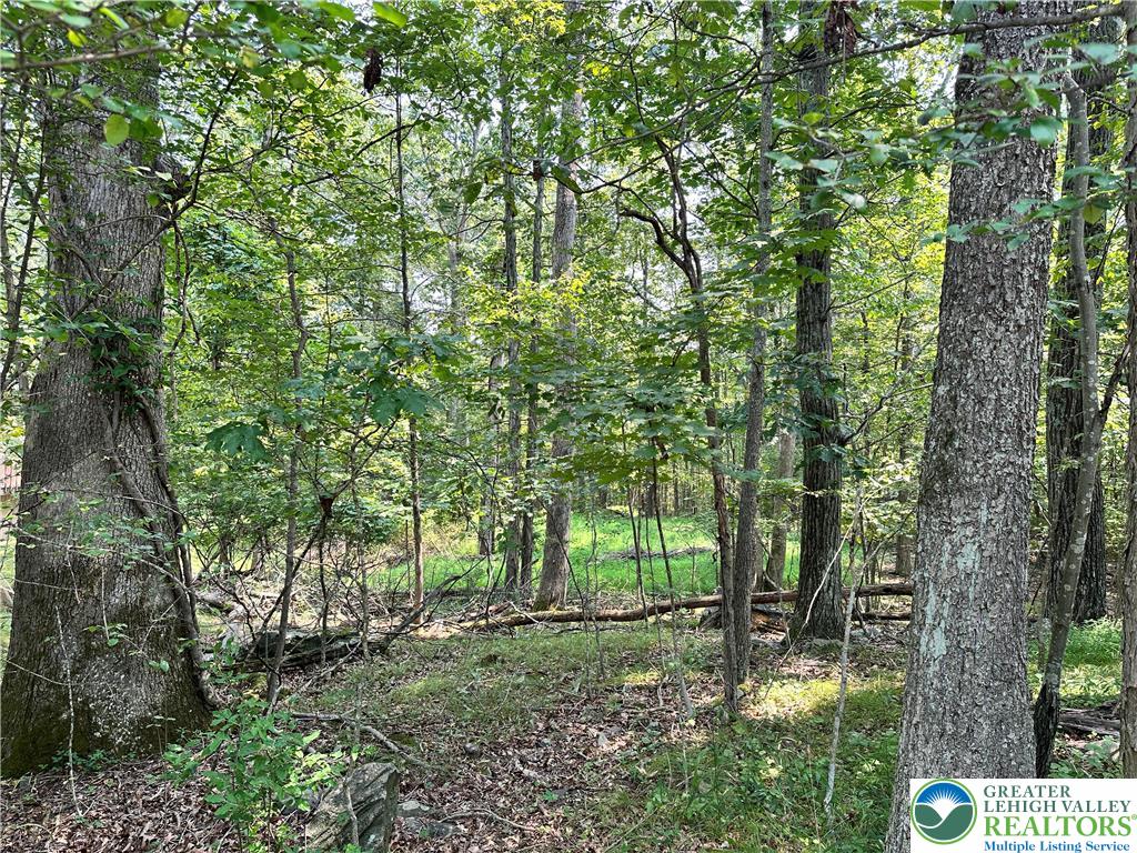Timber Hill Road 2b Property Photo 1