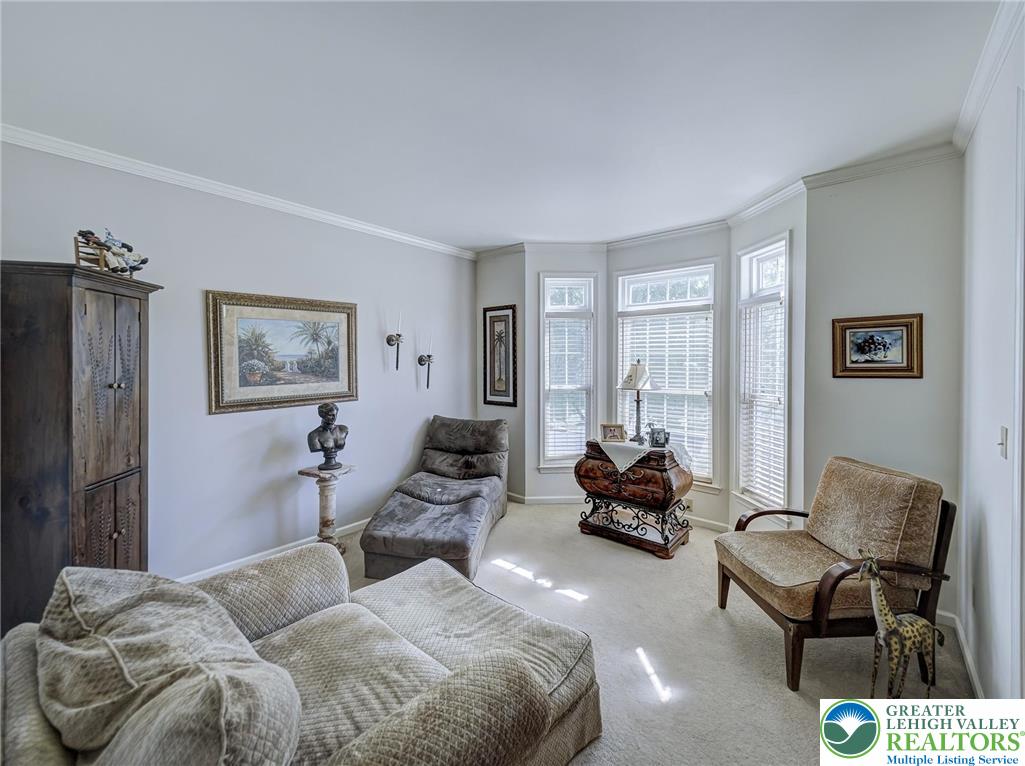 4217 Shadowstone Drive Property Photo 11