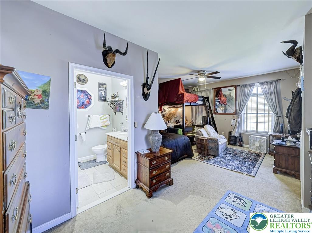 4217 Shadowstone Drive Property Photo 21
