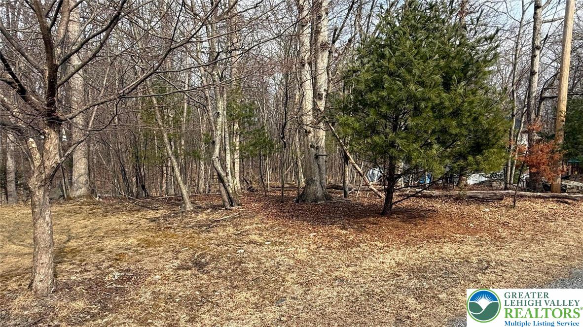 24 Green Meadow Drive Property Photo 11