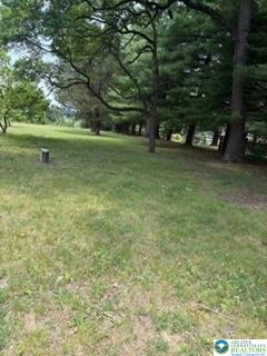 5747 Kernsville Road Property Photo 39