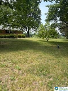 5747 Kernsville Road Property Photo 40